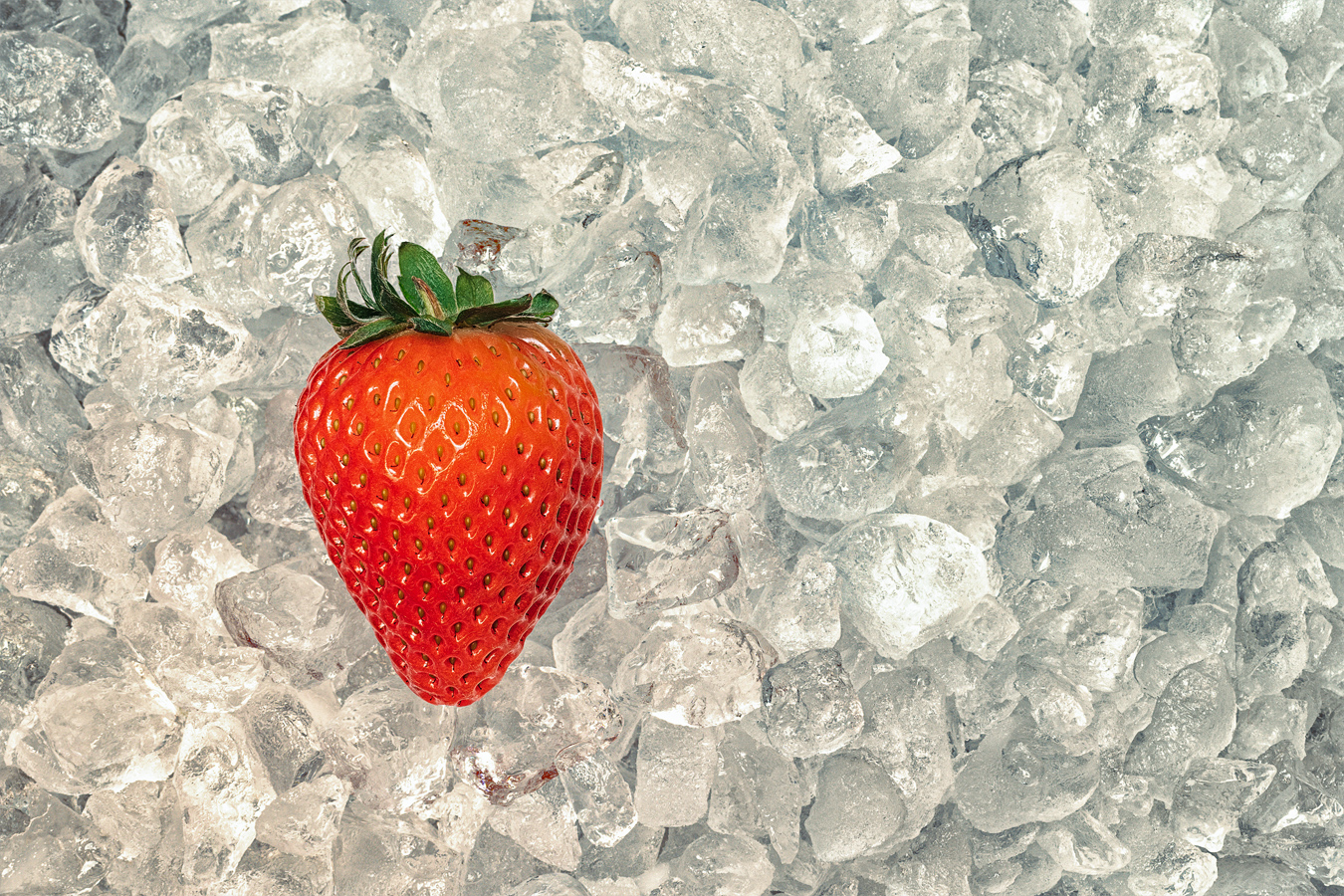 Frozen Strawberry (2022) Frozen Strawberry (2022)