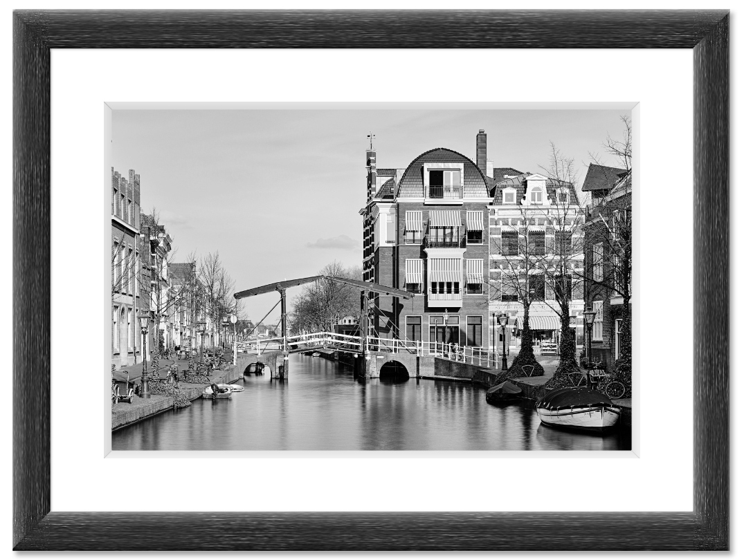 Leiden (2017)