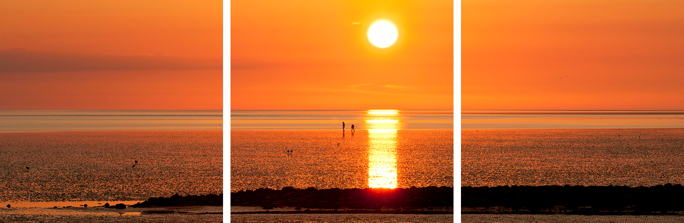 Walk into the Sunset (2012)