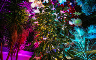 Luminale 2012 Eingangsschauhaus Palmengarten-2 – BILD-ID: ** Luminale 2012 Eingangsschauhaus Palmengarten-2