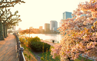 Frankfurt Abendrot Kirschbaum-02