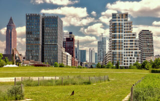 Europagarten Frankfurt