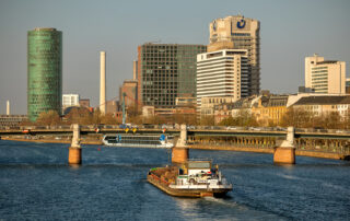 Mainufer Frankfurt 2025