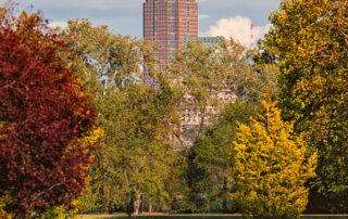 Rebstockpark & Messeturm