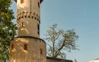 Wartturm Galluswarte
